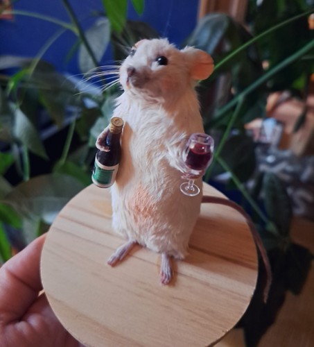 Cute drunk mouse taxidermy - cute, red