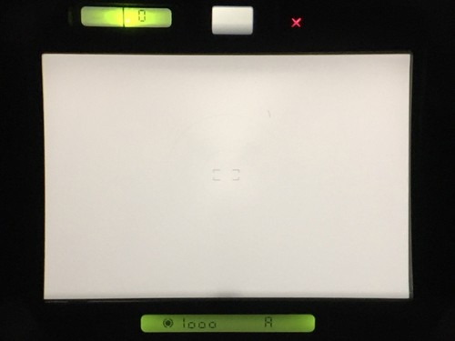 Leak final 261xxx - no, mint