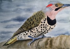 Original watercolor Northern