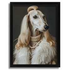 Saluki Aristocrat Lady Elegant