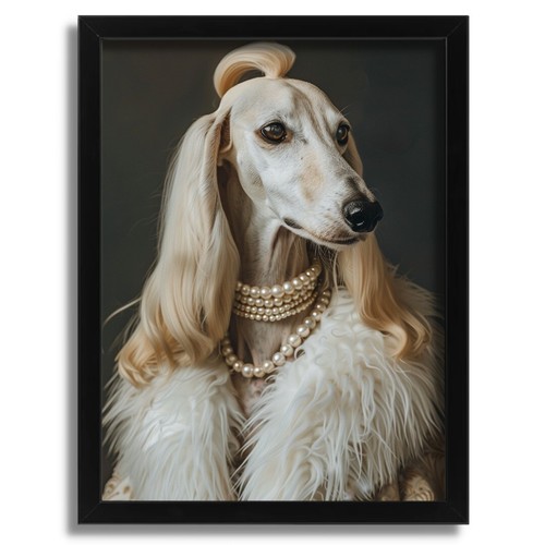 Saluki aristocrat lady elegant - aristocrat,