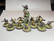 Scarcrag Snivellers Goblin Blood Bowl Team And Troll Star Player Pro Painted