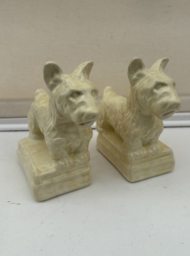 West highland terrier westie - terrier,