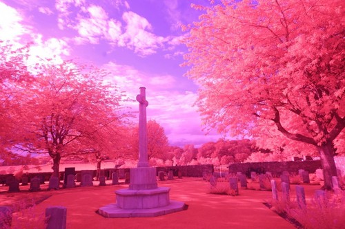 Aerochrome infrared filter - infrared,