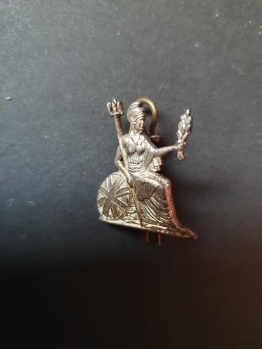 Royal norfolk regiment - norfolk, pin
