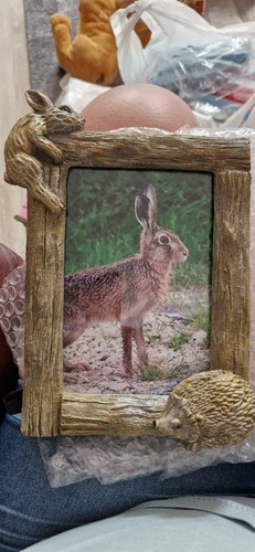 Woodlands photo frame 4x6 - woodlands,