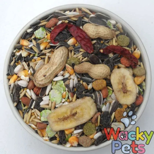 Parrot food seed mix tropical - food,
