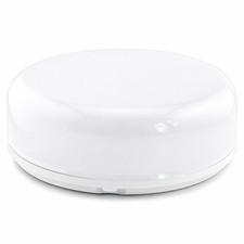 Fern Howard LED Ceiling Light