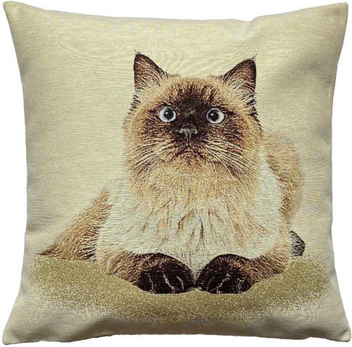 Balinese cat french hand - balinese,