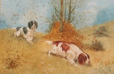 Antique watercolour - Spaniels