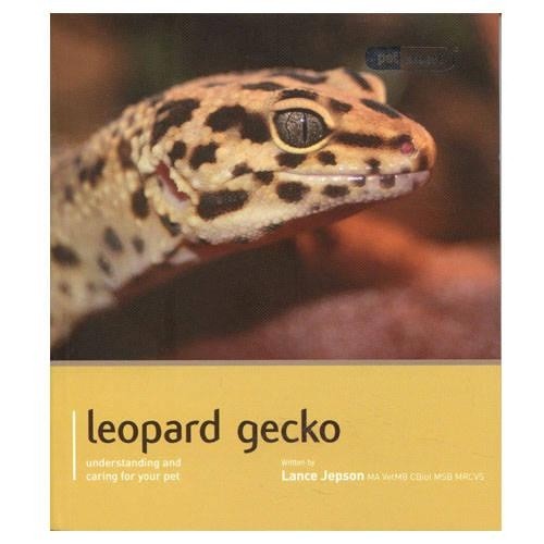 Leopard gecko pet expert - leopard,