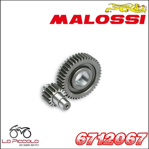 6712067 secondary gears