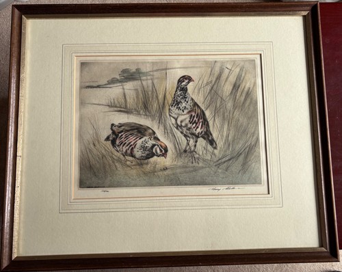 Henry wilkinson coloured - wilkinson,