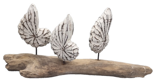 Shell carving on driftwood - x,