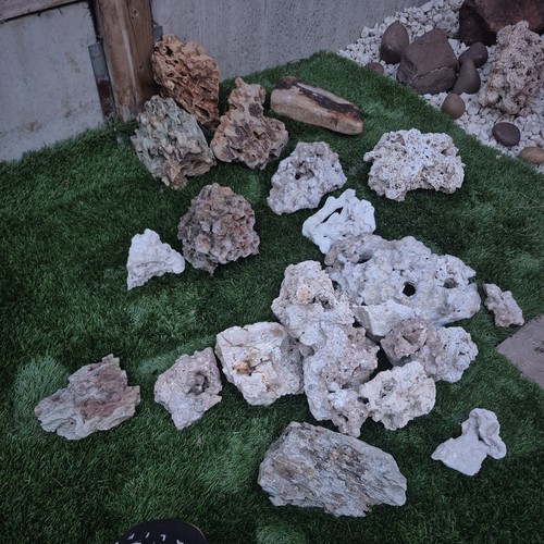 Dragon stone and - and, aquarium