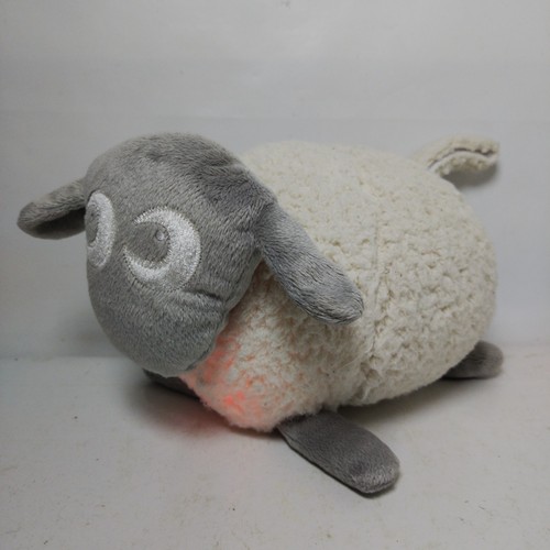 Ewan the dream - sheep, white