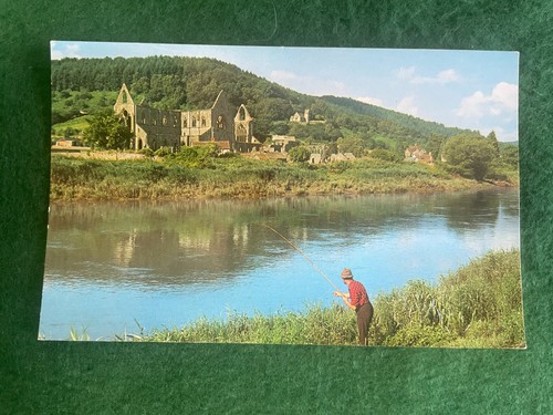 Tintern abbey 8406 d - v,