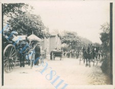 Edwardian Coaches Day trip Nr
