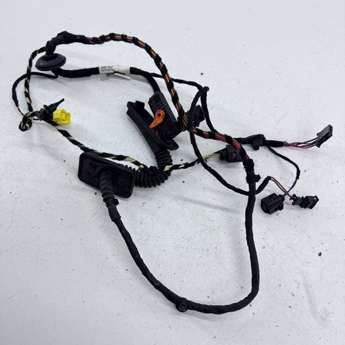 Passat door loom wiring - cc,