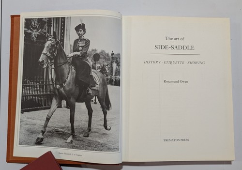 The art side - the, side-saddle