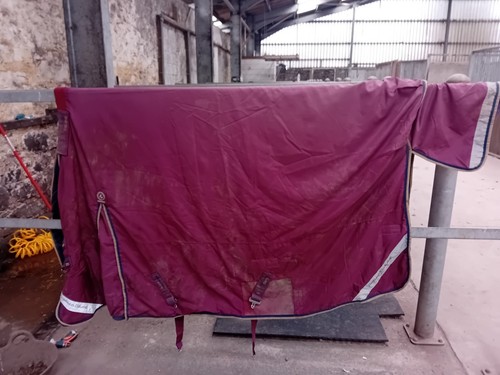 Premier equine fill - equine,