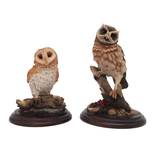 Country artists little owl - little,