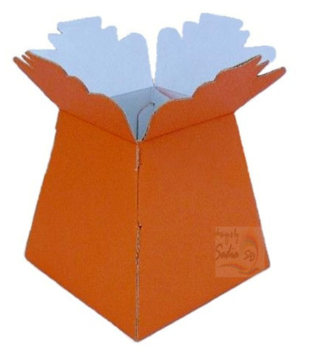 Orange living vases flower - living,