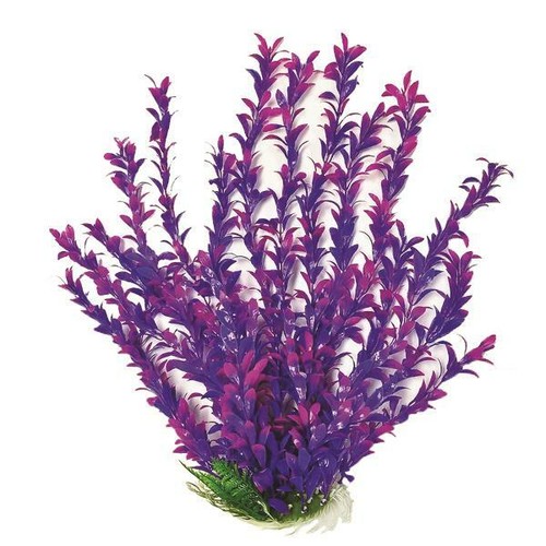 Faux aquarium plant - aquarium,