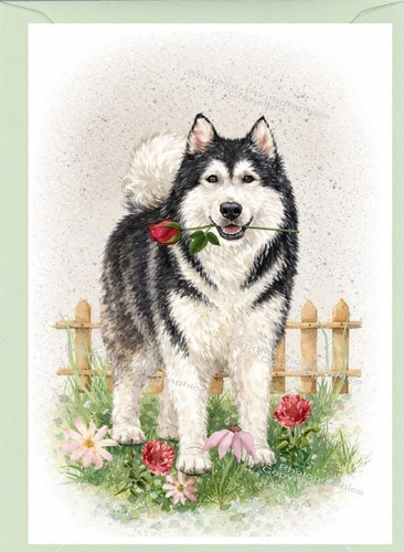 Alaskan malamute dog - alaskan, 6")