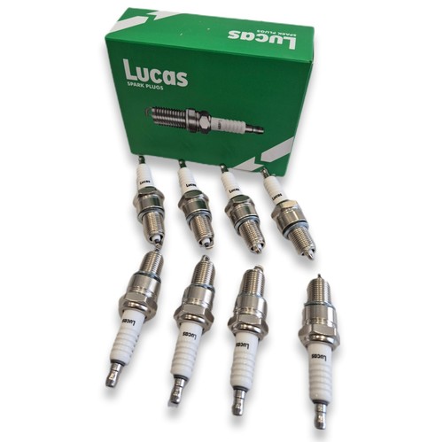 Triumph stag set of - set, 8