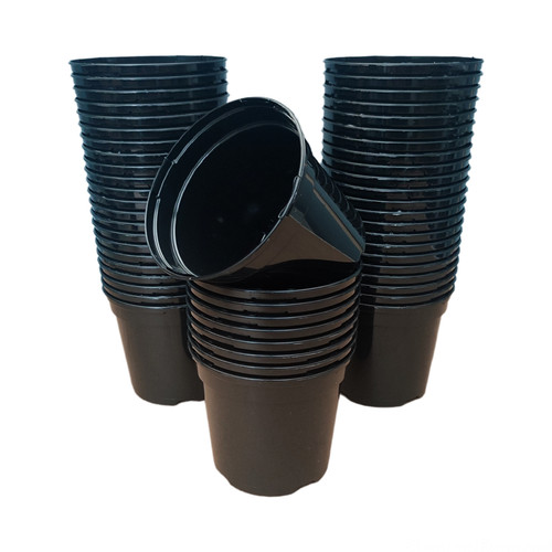 Plastic plant pots - plant,