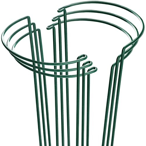 Plant support stakes 6 pack - stakes,,
