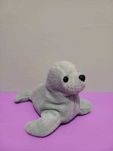 Small grey seal sea - a,
