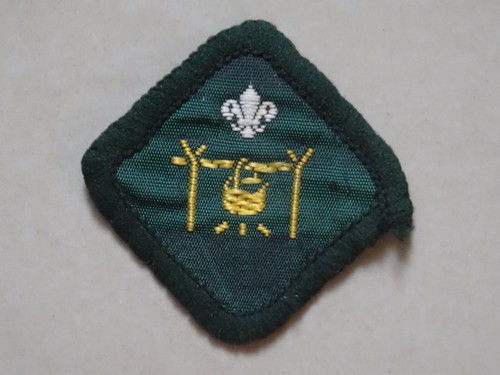 Scout proficiency badge - proficiency,