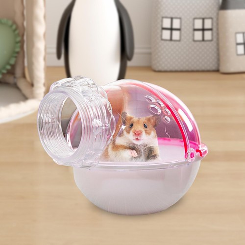 Pet hamster sand - hamster, bath