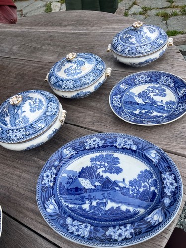 Wedgwood blue dinner set - dinner,
