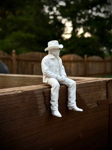 Chuck norris shelf sitter - norris,