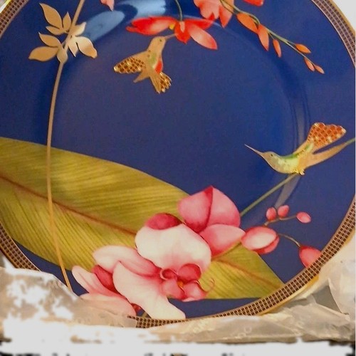Wedgwood hummingbird blue - hummingbird,
