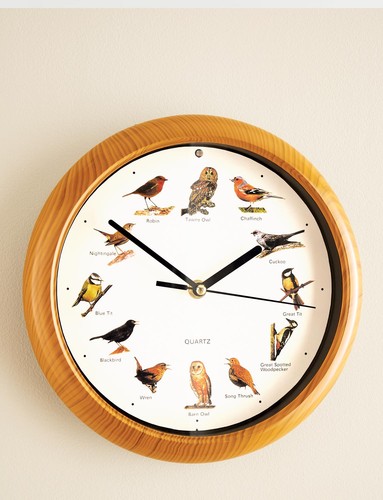 Bird song wall - bird,