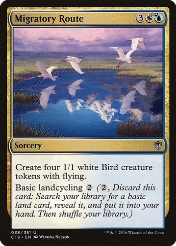 Migratory route 38 - migratory, lp