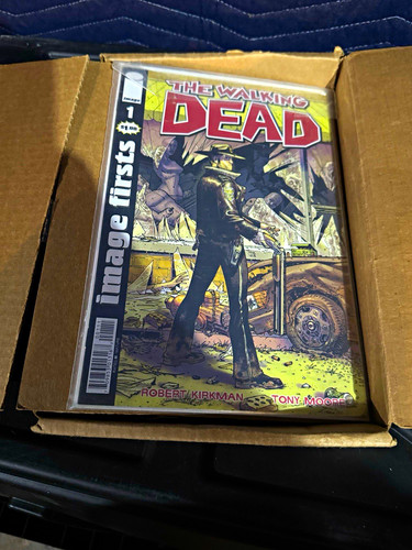 Image comics the walking dead - image,