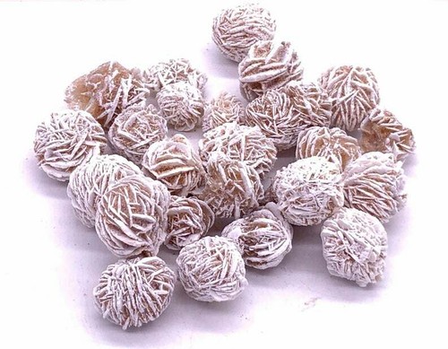 Rough mini desert rose - 1/2,