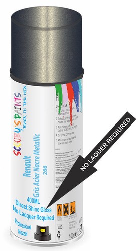 Aerosol spray paint for - spray,