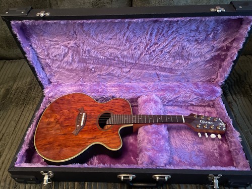 Crafter electric acoustic - electric,