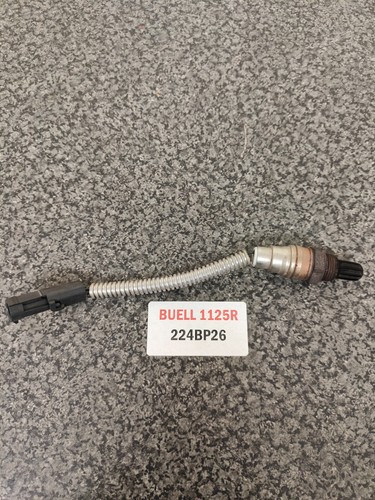 Buell 1125r exhaust lambda - 1125r,