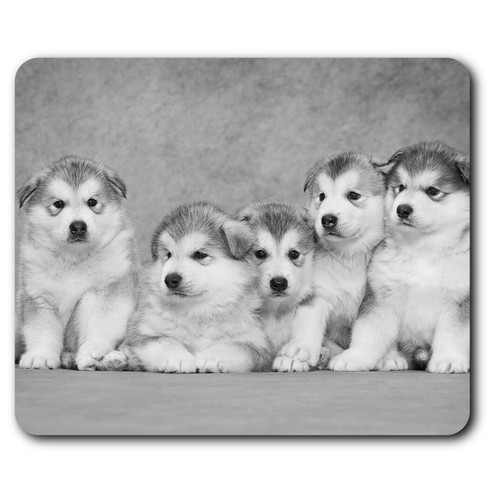 Rectangle mouse mat - mat, bw