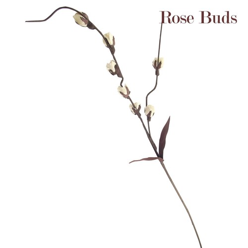 Natural sola tree - sola, flower