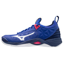 Mizuno Wave Momentum Indoor