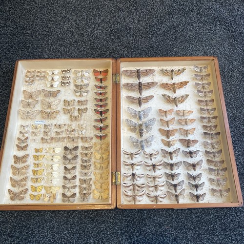 Fine collection of british - collection,