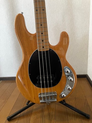 Music man stingray - music,